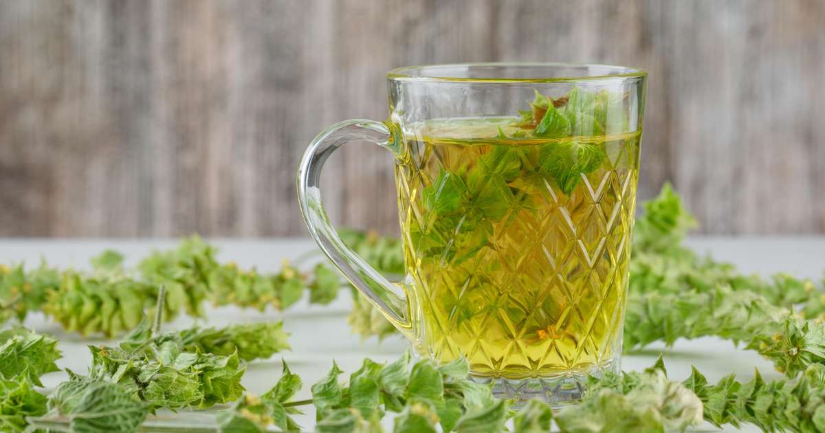 Chá de salsinha servido em uma xícara com folhas de salsinha ao lado