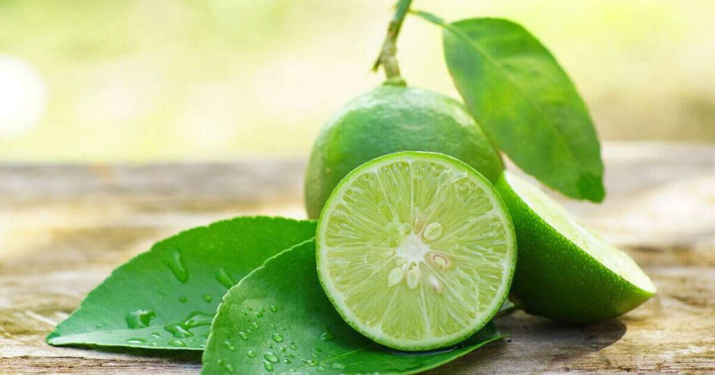 Fatias frescas de limão em um fundo colorido