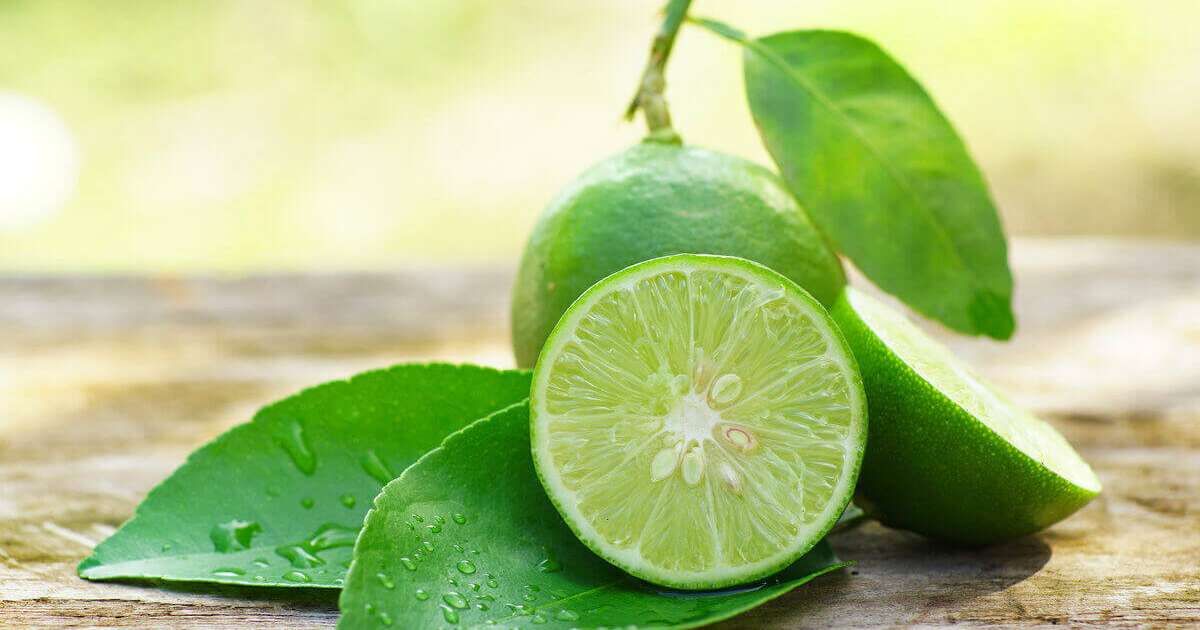 Fatias frescas de limão em um fundo colorido