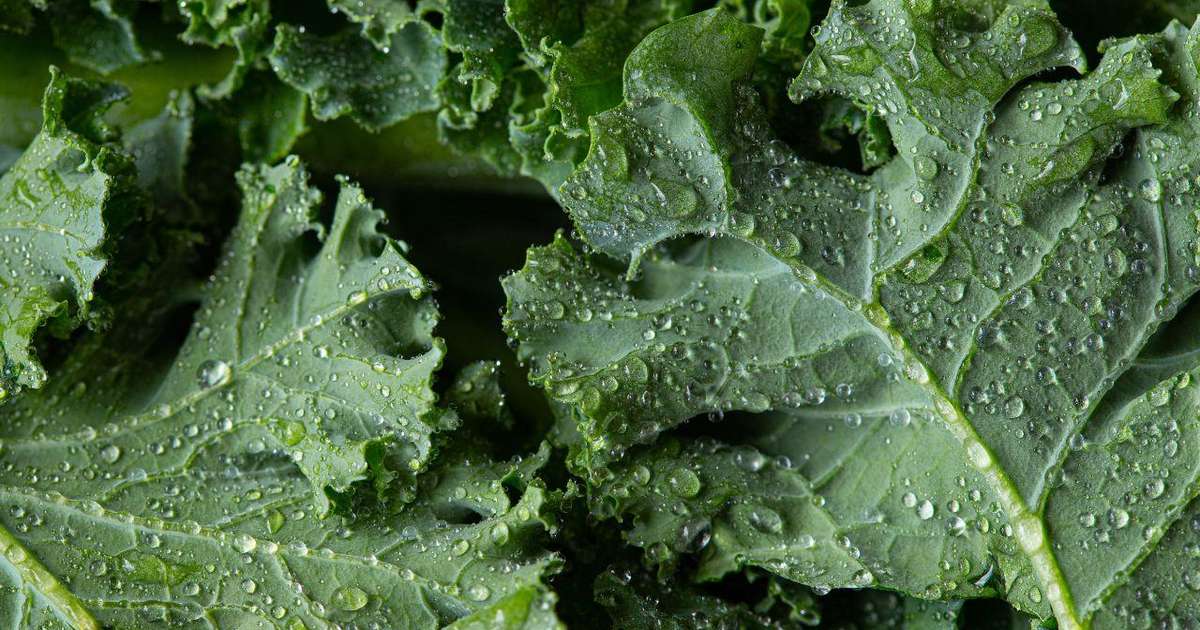 Alimentos ricos em fibras, como leguminosas, sementes e vegetais de folhas escuras, em uma mesa saudável.