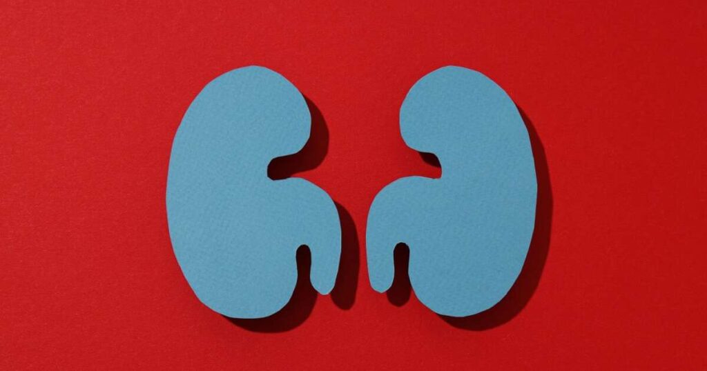 Hábito saudável para a saúde dos rins