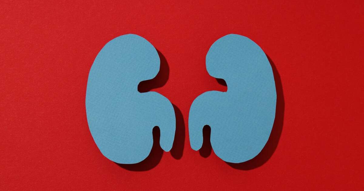 Hábito saudável para a saúde dos rins