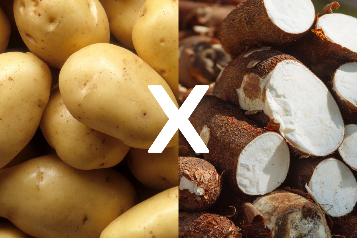 Batata inglesa e mandioca em um prato saudável