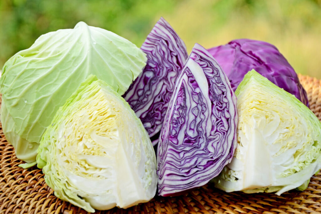 Comparação entre repolho roxo e branco em uma mesa de cozinha